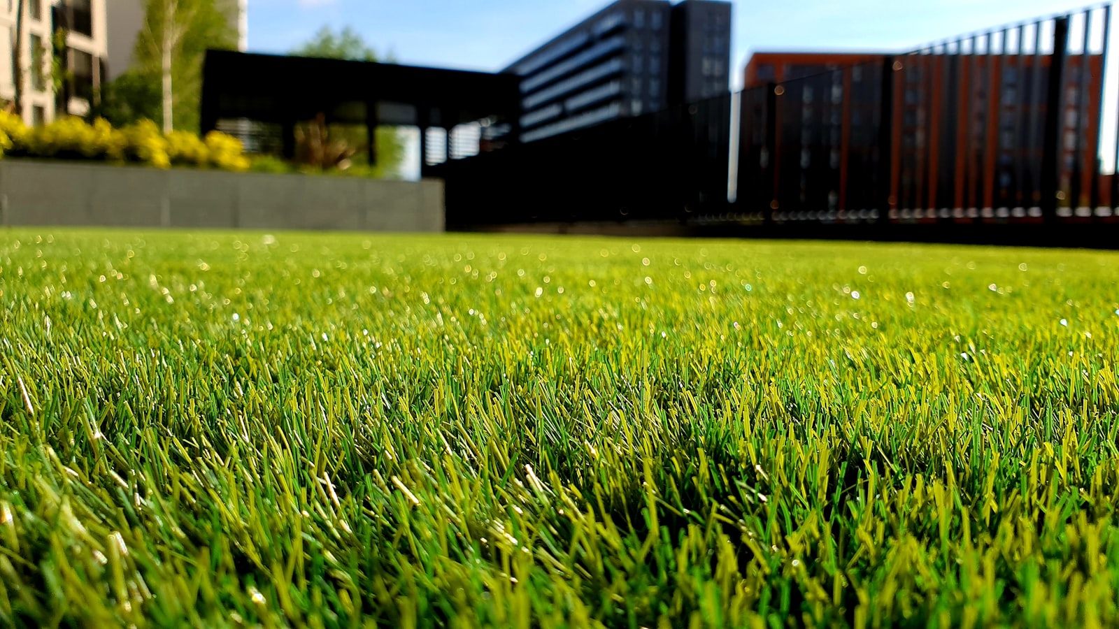 Jardin aménagé par l'entreprise paysagiste